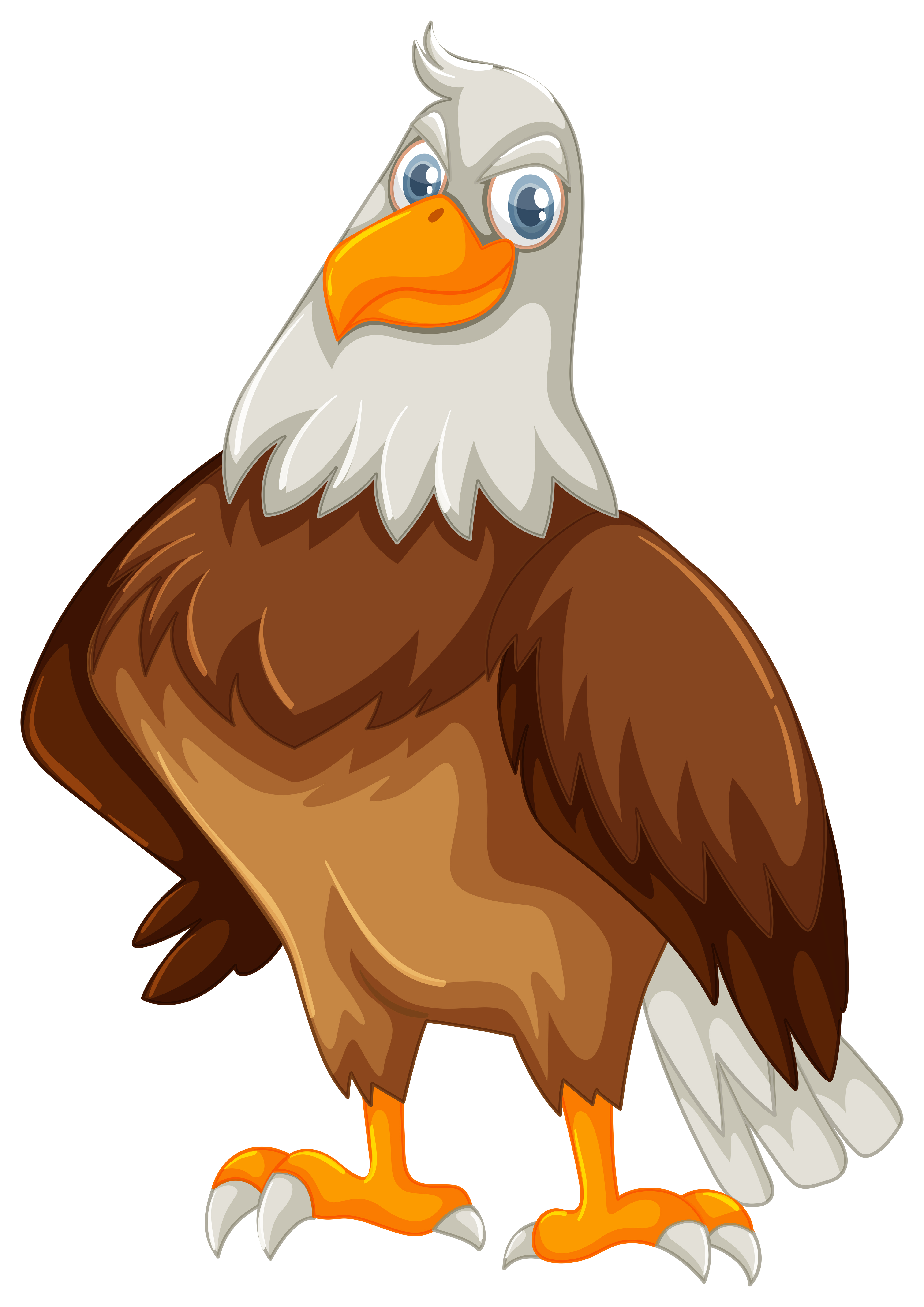 Wild eagle on white background 294868 Vector Art at Vecteezy