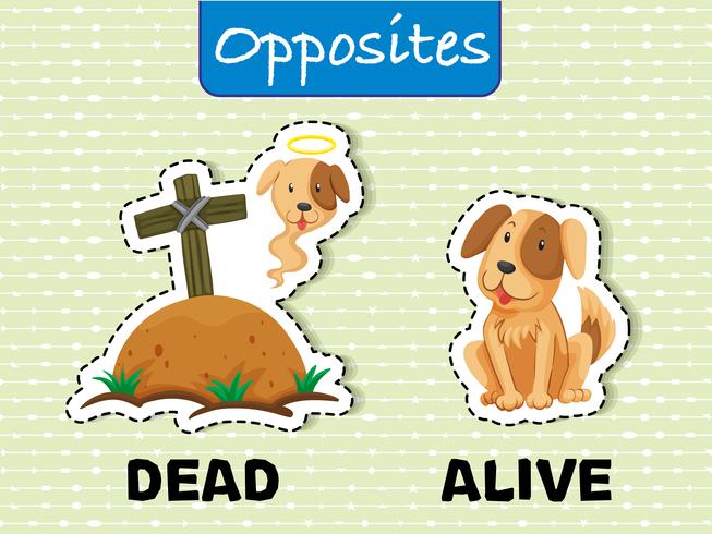 Opposite words for dead and alive vector