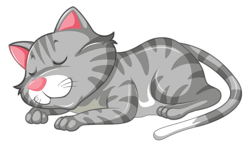 Cute Cat Sleeping On Laptop With Coffee Cup Cartoon Vector Icon  Illustration (2) - Sleep - Sticker