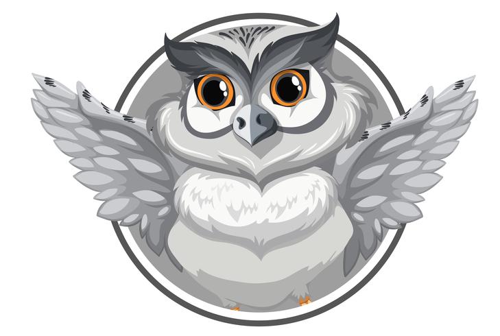 A grey owl banner vector