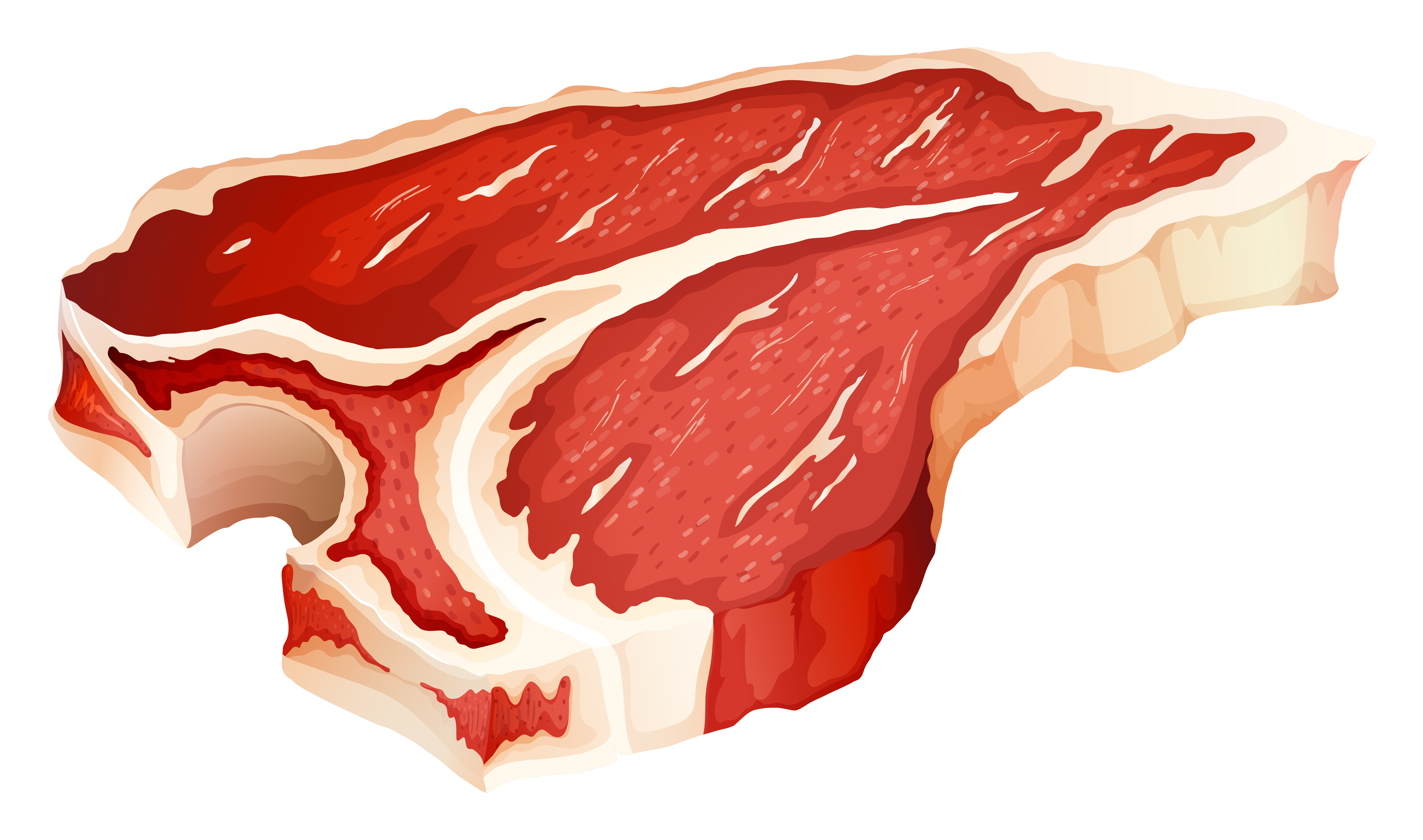 Actualizar 83+ imagen dibujos de carnes rojas - Thptletrongtan.edu.vn