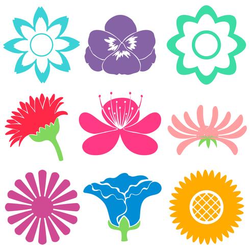 Colourful floral templates vector