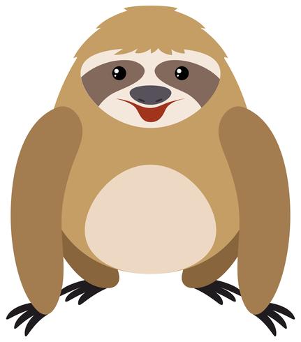 Sloth on white background vector
