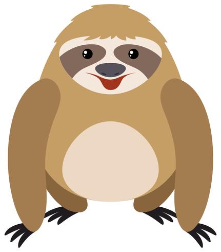 Sloth on white background vector