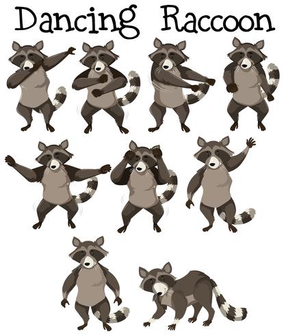 Posición de la danza del personaje del mapache vector