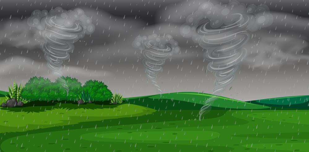 A storm at night vector