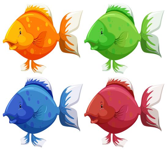 Cute fish vector