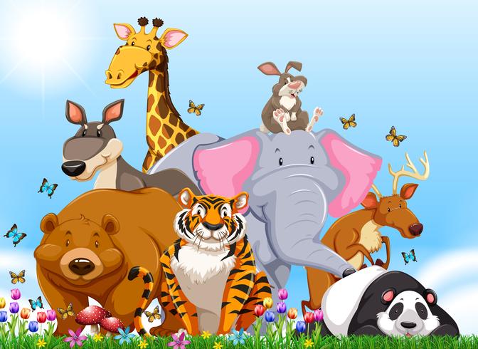 Many types of wild animals in the field vector