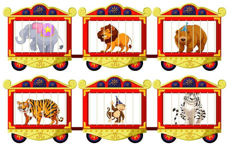 Animales salvajes en las jaulas de circo. vector