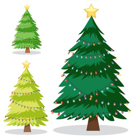 A Set of Christmas Tree - Download Free Vector Art, Stock Graphics & Images