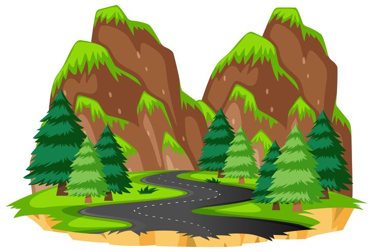 Road to the nature vector