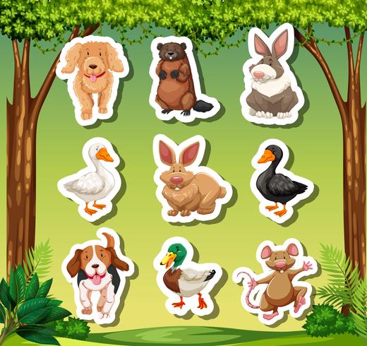 Set of animal sticker vector