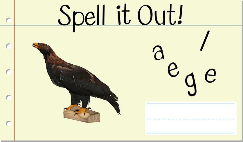 Spell English word eagle vector