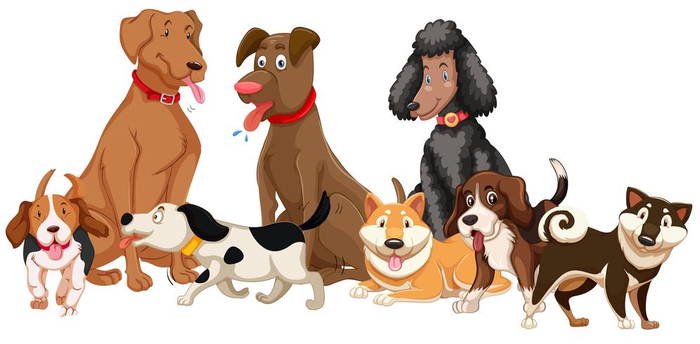 Conjunto de varios perros vector