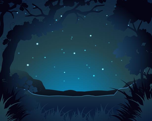 Forest scene at night vector