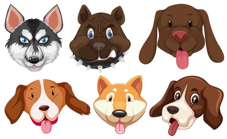 Set of dog breeds head vector