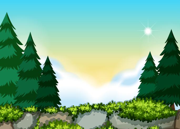 Un hermoso paisaje natural. vector