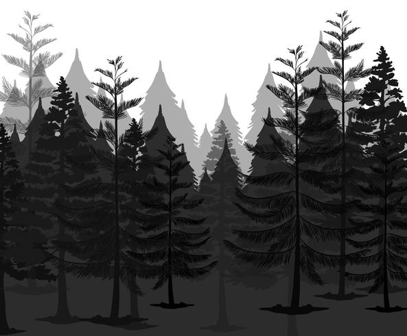 Un bosque de misterios oscuros vector