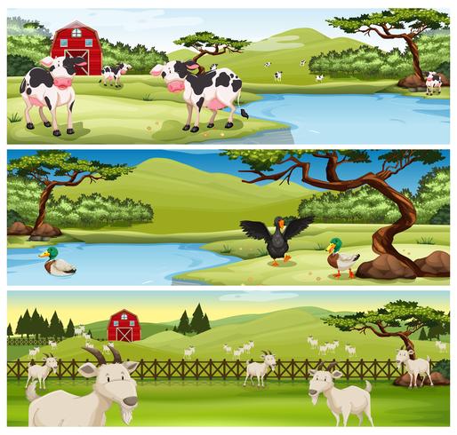 Farm animals living on farm - Download Free Vector Art, Stock Graphics & Images