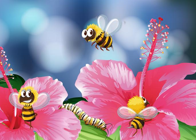 Bees flying in garden vector
