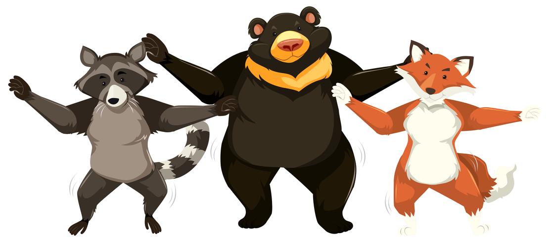 Animals dancing white background vector
