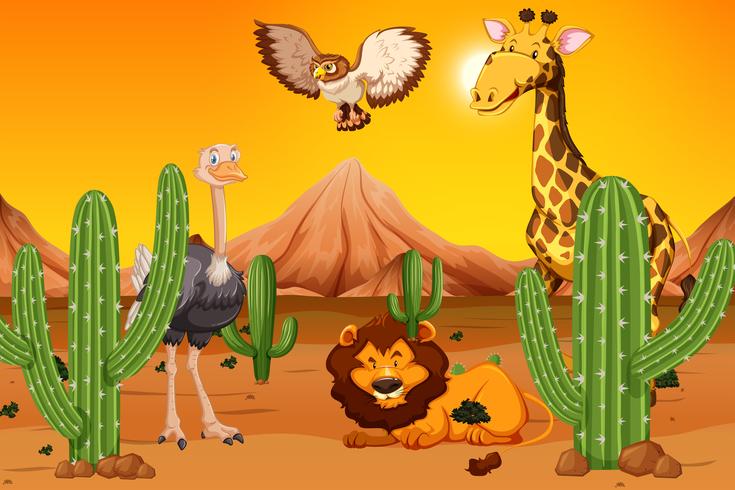 Wild animal at desert vector