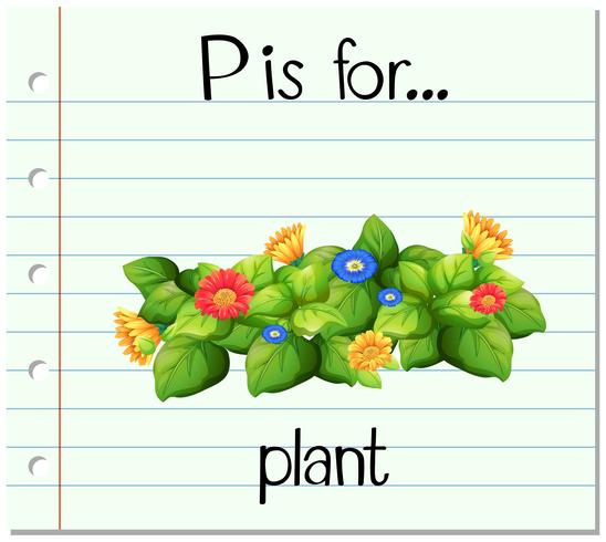 Flashcard alfabeto P es planta de flor vector