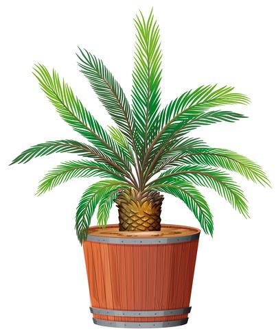 A Plant Growing in Pot vector