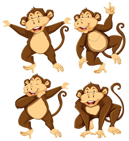 Monkey character with different pose vector