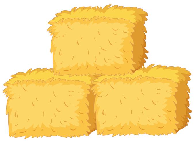 Bales of straw on white background vector