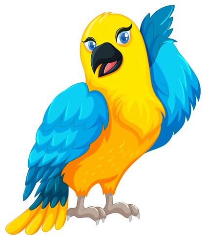 Parrot bird with yellow and blue feather vector