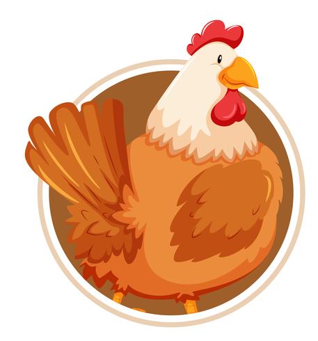 Pollo En Banner De Cirlcle vector