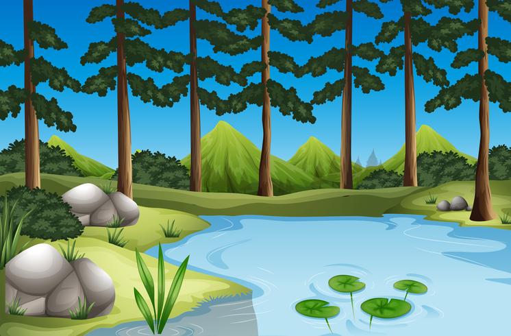 Forest scene with trees and river vector