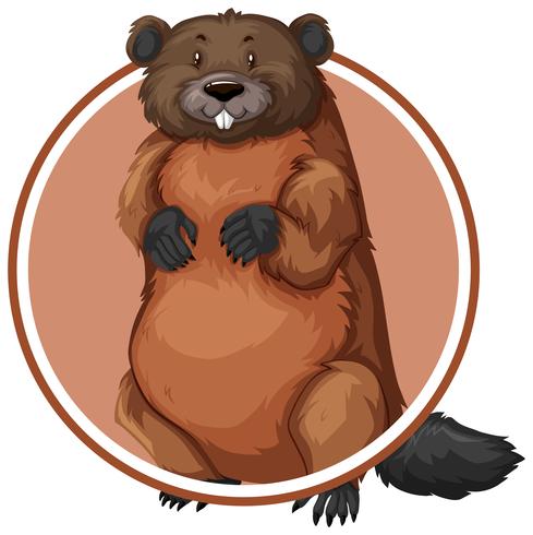 Beaver in circle banner vector