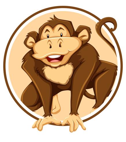 Monkey in circle template vector