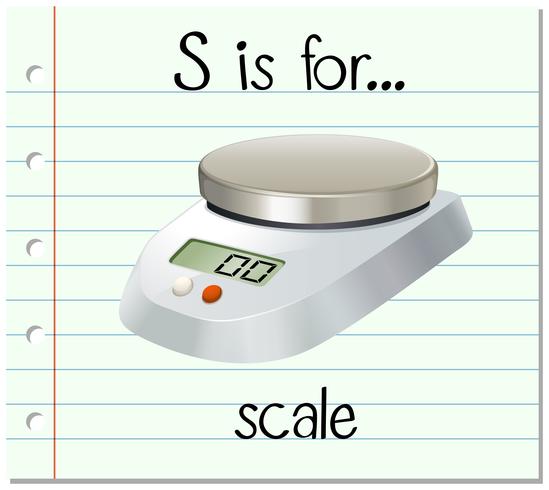 Flashcard letter S is for scale vector