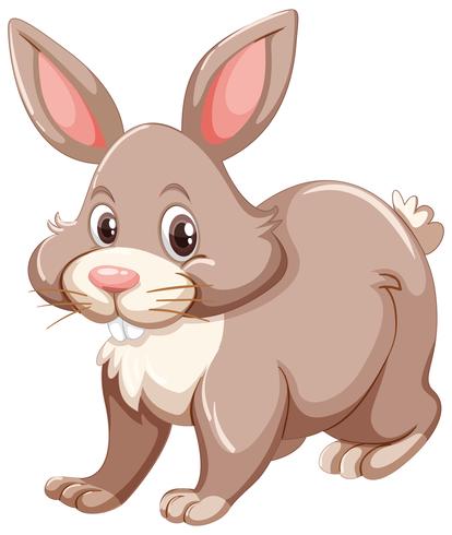 Gray rabbin with happy face vector