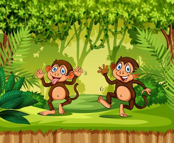 Playful monkey in the jungle vector