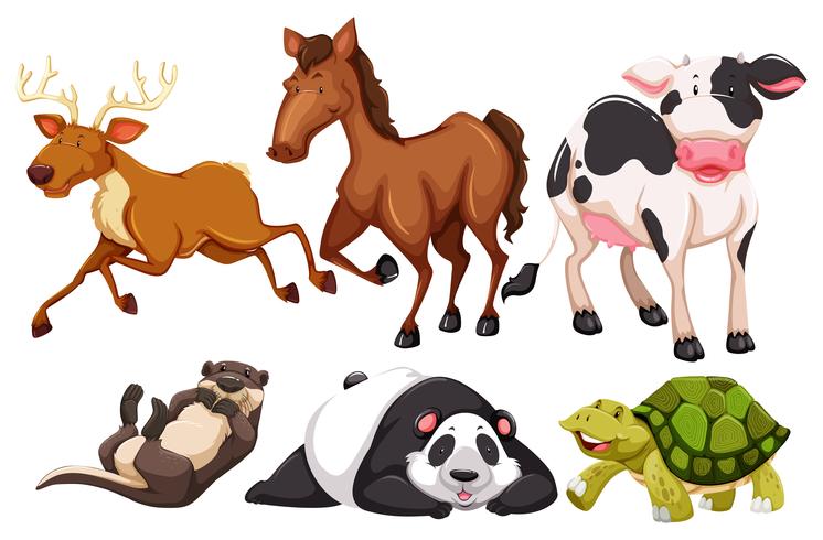 Los animales vector