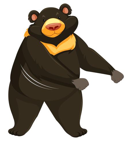 A bear dancing on white background vector