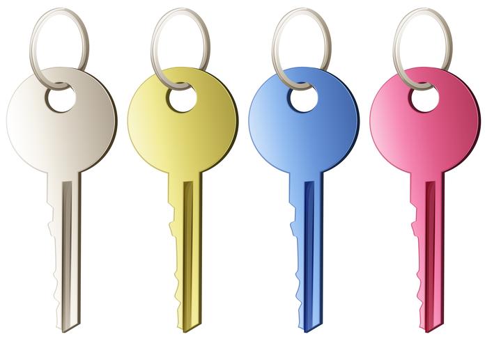 Set of keys vector