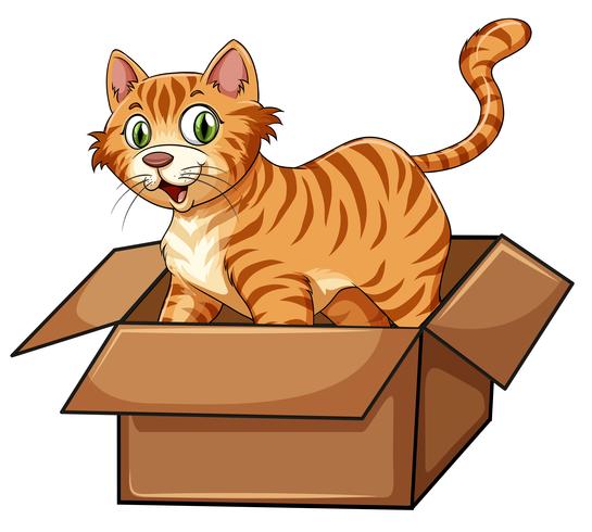 Un gato en la caja vector