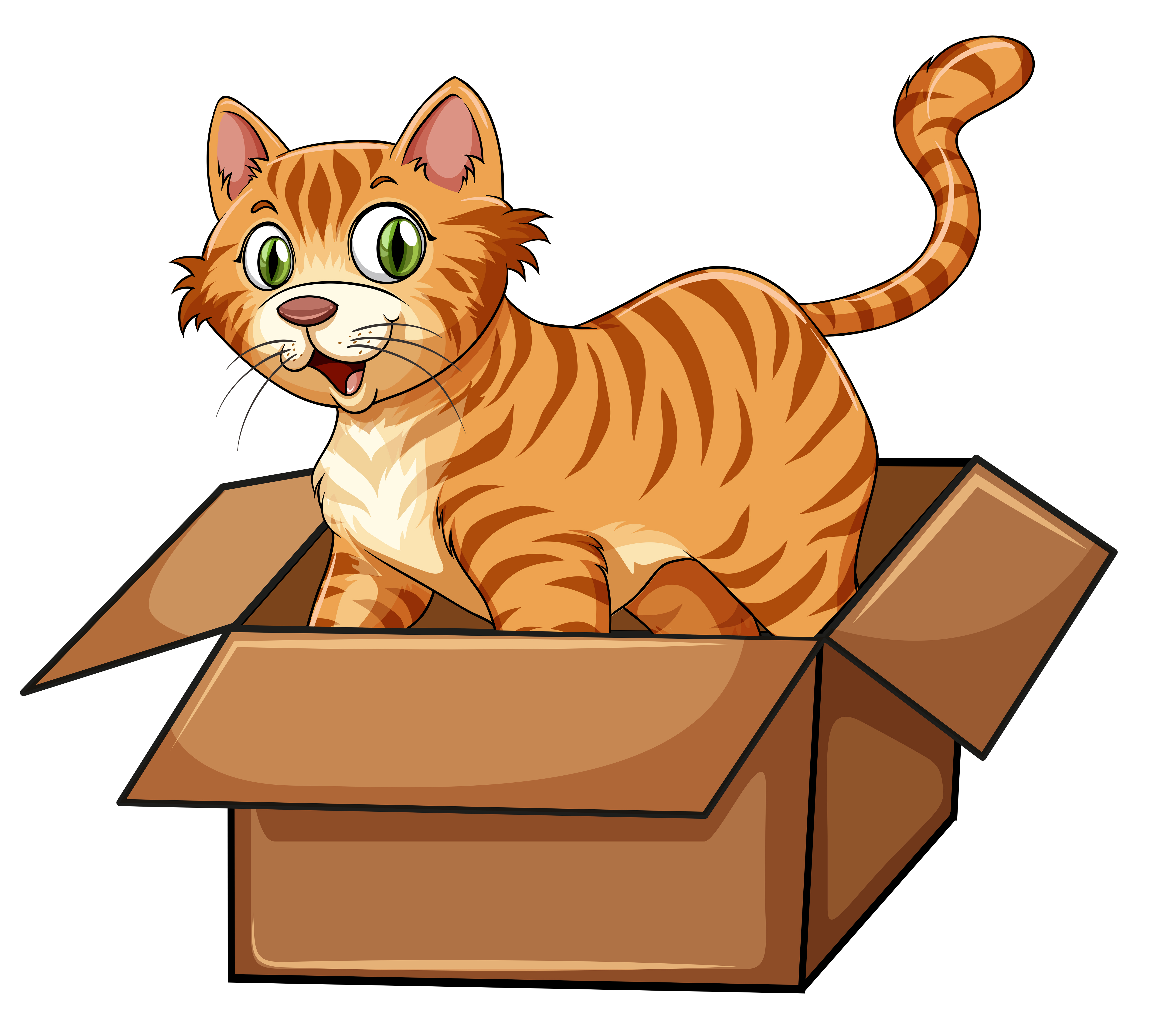 Download the A cat in the box 295507