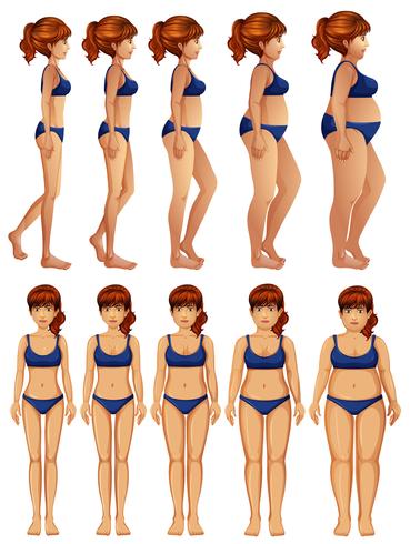 Front and Side of Woman Body Transformation vector