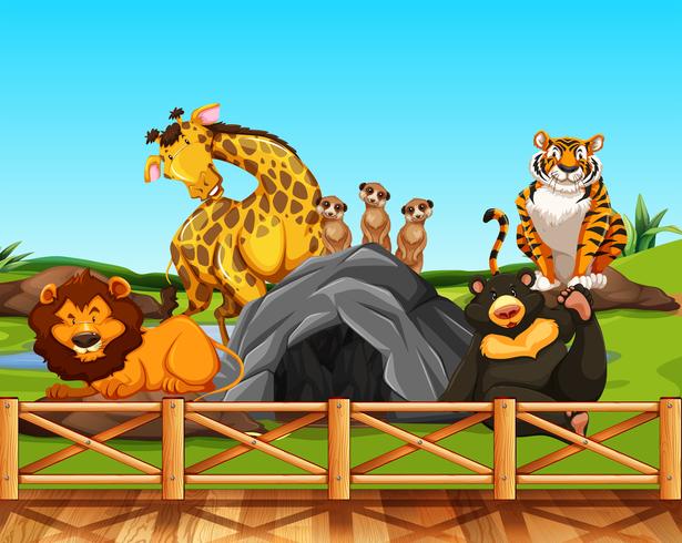 Various animals in a zoo vector