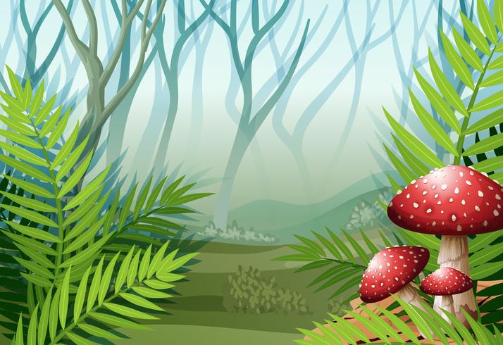 Forest scene with fog on the grass vector