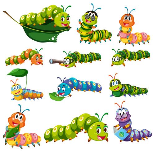 Different color caterpillar characters vector