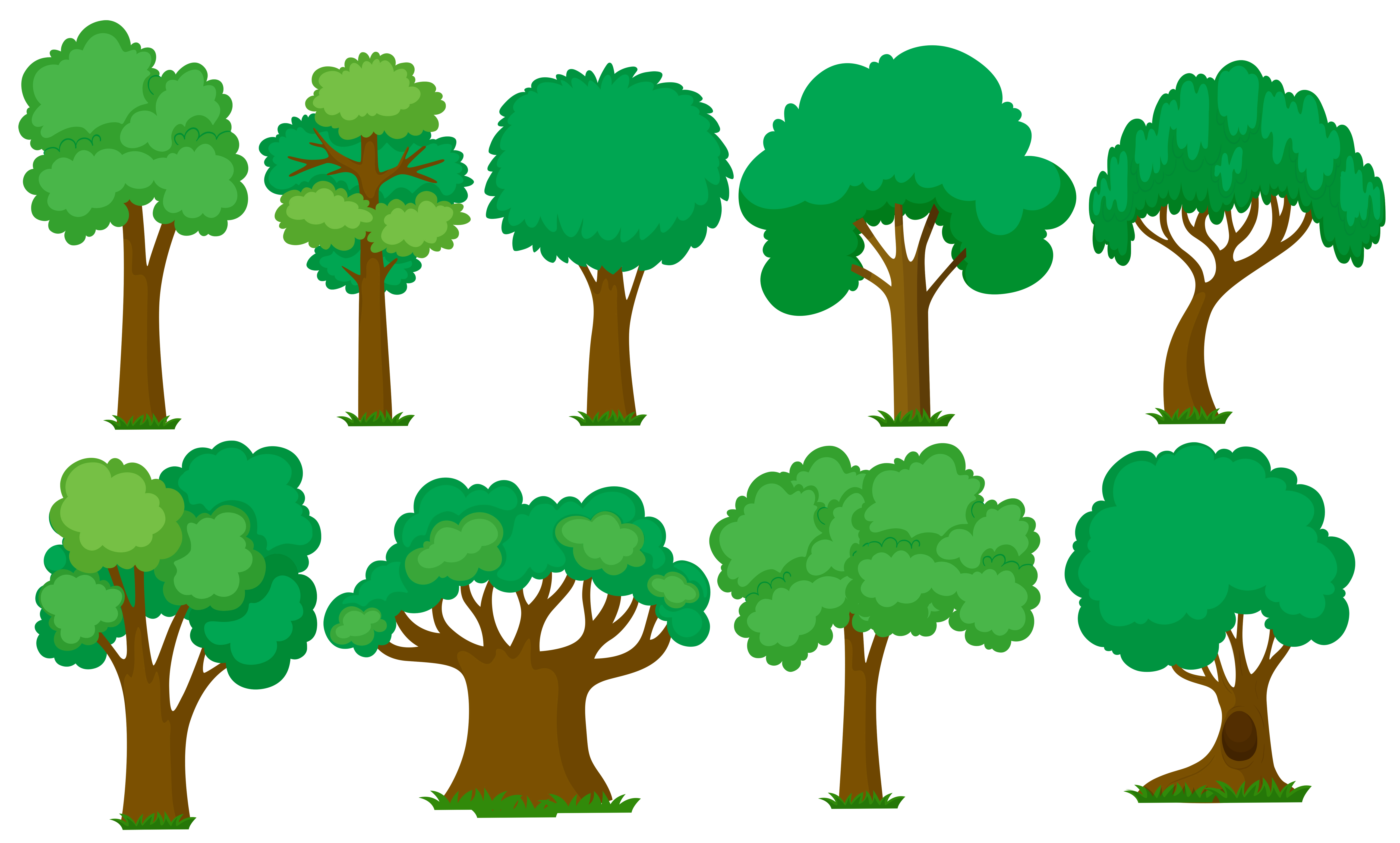 Set Of Various Trees 295633 Vector Art At Vecteezy