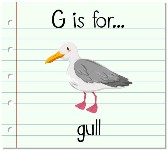 La letra G de la Flashcard es para gaviota. vector