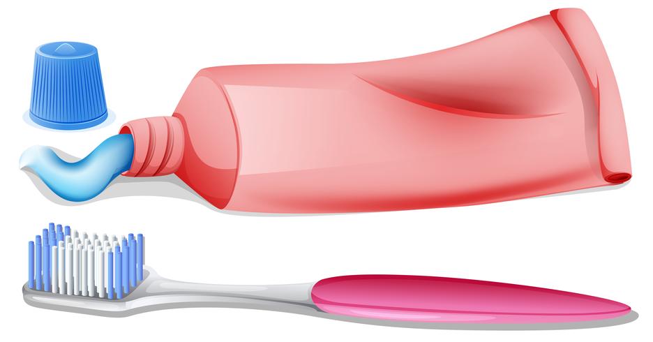 A toothbrush and a toothpaste vector